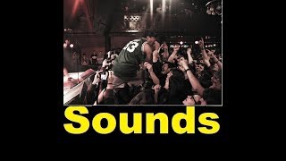 Crowd Scream Sound Effects All Sounds [upl. by Broddie]