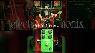 EHX Lizard King Bass Octave Fuzz Pedal Demo [upl. by Rawdin]