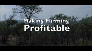 Making Farming Profitable [upl. by Chadbourne]