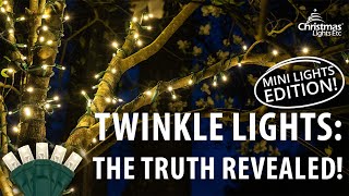 What is a Twinkle Light Anyway Mini Lights Edition [upl. by Eynaffit]