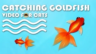 CAT GAMES FISH  Catching Goldfish Fish Video for Cats to Watch [upl. by Stalder301]