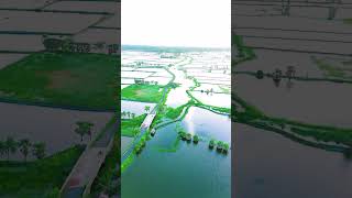 আমাদের গ্রাম Drone View sorts viralshort youtubeshorts dronview [upl. by Anih889]