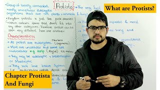 What are Protists  Kingdom Protista Introduction  Protista and Fungi [upl. by Fitton]