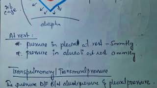 compliance of lungs and chest wall BRS PHYSIOLOGY page 119120 fcps part 1 preperation forum [upl. by Hartzke]