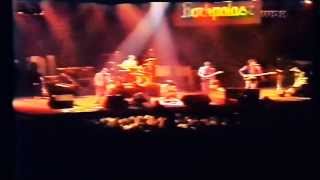 The Undertones  Live at Rockpalast 1981 [upl. by Phonsa842]