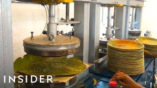 How Leaves Are Made Into Biodegradable Plates [upl. by Bina]