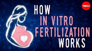 How in vitro fertilization IVF works  Nassim Assefi and Brian A Levine [upl. by Elaynad]