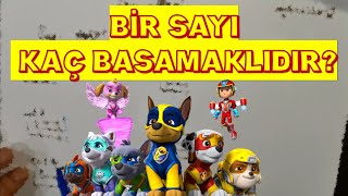 BİR SAYI KAÇ BASAMAKLIDIR  BASAMAK SAYISI BULMA  ÖZEL EĞİTİM DERSLERİ [upl. by Gary]