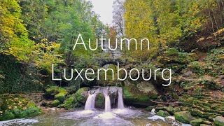 Luxembourg autumn 2024  Mullerthal [upl. by Aldous]