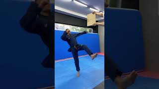 8 TAEKWONDO KICKS  8 BEST TRICKS [upl. by Antoine]