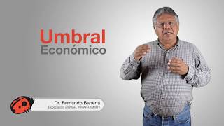 ¿Qué es el umbral económico  Factor MAP [upl. by Elmo]