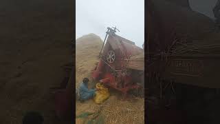 Countinue work of Rice Thareshar Sindh Pakistan weather is not good [upl. by Hgiellek]