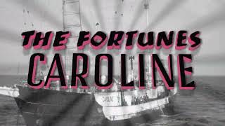 The Fortunes  Caroline Vinyl 1964 [upl. by Ellecrag577]