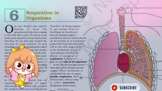 3RESPIRATION IN ORGANISMS CLASS 7 NCERT EXPLANATION SCIENCE [upl. by Anirod]