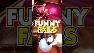 Most Funny Fails 🤣 Daily Funny Videos pt260 [upl. by Ellebana463]