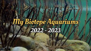 Sections from my biotope aquariums20222023 [upl. by Seana]