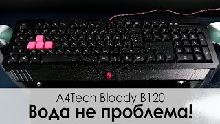 Обзор клавиатуры ✔ A4Tech Bloody B120 [upl. by Moser699]