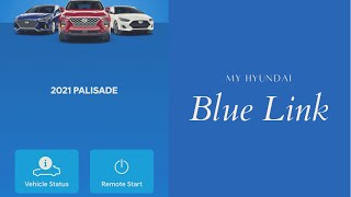 Hyundai Blue Link WHY YOU NEED THIS 🚨 [upl. by Manuel]