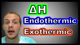 Endothermic and Exothermic [upl. by Eimia57]