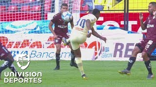 ¿¡Qué hiciste Renato Golazo de Ibarra para el 10 [upl. by Anoi868]