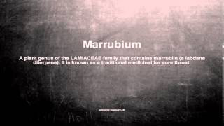 Medical vocabulary What does Marrubium mean [upl. by Ayote]