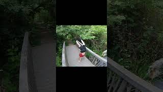 exhausting exercise challenge  peaceful parkour shorts [upl. by Ayocal235]