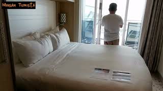 Spectrum of the Seas Obstructed Balcony Room Tour  MustSee [upl. by Glogau307]