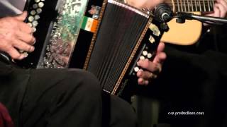 Melbourne Ceilidh Band  Irish Dance Jigs [upl. by Moina126]