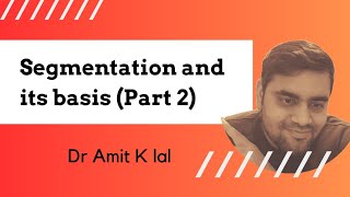 Segmentation and its basis Part 2  psychographic  Behavioral  Vals Framework [upl. by Dupuy204]