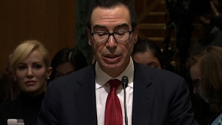 Mnuchin Faces Criticism over Foreclosures [upl. by Heise970]