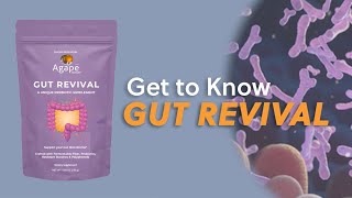 Get to Know Gut Revival [upl. by Cheatham156]