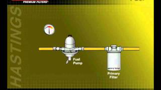 FilterSavvy  Hastings Filters  Fuel Filters 4 [upl. by Oicaro536]