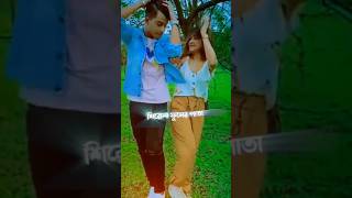 নিঠুর হয়ে তুমি ছির না ফুলের পাতাfypシforyou video gameplay tiktok fane raseljannatcouple09 [upl. by Dihahs]