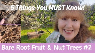 What You NEED to Consider BEFORE Buying Bare Root Fruit amp Nut Trees 2 in the Series [upl. by Delmore]