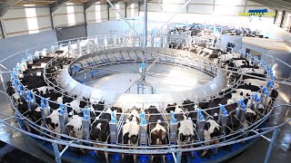 The Incredible Rotary Milking Parlour from Dairymaster [upl. by Robina]