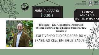 Cultivando Curiosidades Do Brasil ao Kew em ziguezague [upl. by Ainehs]