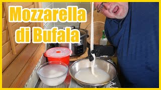 The Secret to Making Delicious Mozzarella di latte di Bufala Buffalo Mozzarella [upl. by Llenyl]