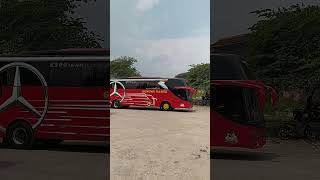 Gunung Harta Merah Bogor  Jogja busmania gunungharta bus [upl. by Aisel170]