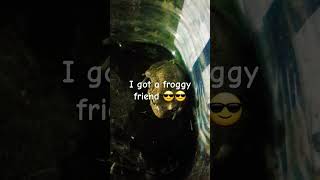 I got a froggy friend 😎😎 [upl. by Anavlys]