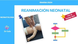 NEONATOLOGÍA  REANIMACIÓN NEONATAL  ENARM 2024 [upl. by Lledra]