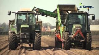 Bedrijfsfilm aspergeplanten Plantenkwekerij de Kemp [upl. by Beutner]