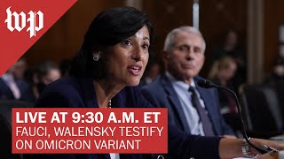 Fauci Walensky testify at Senate hearing on omicron variant  111 FULL LIVE STREAM [upl. by Reld234]