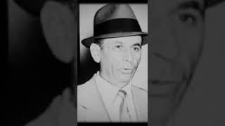 MEYER LANSKY 3 genovesefamily americancrime italianfamily crimestory americancrimestory crime [upl. by Eatnuahc]