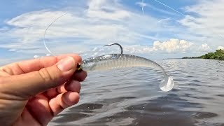 Fishing Dirty Water with Nature Series Paddletail  Redfish amp Snook [upl. by Yulma906]