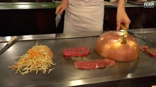 Teppanyaki French Beef amp French Duck  Japanese Food in Germany [upl. by Jarus638]