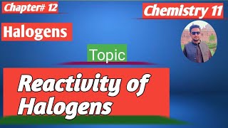 lec1 Reactivity of Halogens  Group7 elements  11 chemistry new book federal2024 [upl. by Cypro]