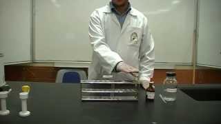 Nitroprussides test Part 2 Identification of Amino Acids Cysteine or Cystine [upl. by Ogdon374]