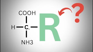La classificazione degli amminoacidi in soli 10 minuti [upl. by Harraf]