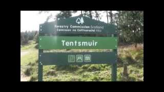 Tentsmuir Forest from Tayport entrance [upl. by Curley]