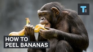 How to peel bananas [upl. by Aticnemrac]